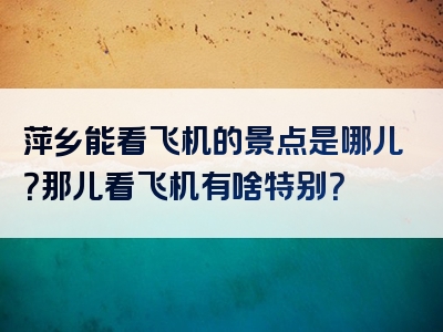 萍乡能看飞机的景点是哪儿？那儿看飞机有啥特别？