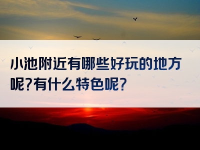 小池附近有哪些好玩的地方呢？有什么特色呢？