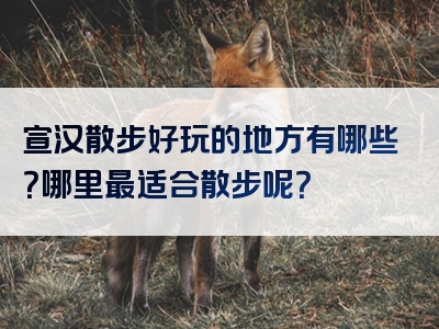宣汉散步好玩的地方有哪些？哪里最适合散步呢？