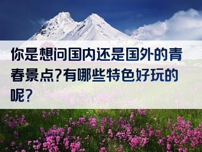 你是想问国内还是国外的青春景点？有哪些特色好玩的呢？