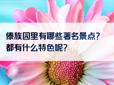 傣族园里有哪些著名景点？都有什么特色呢？