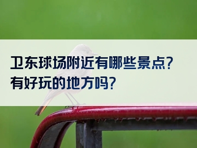 卫东球场附近有哪些景点？有好玩的地方吗？