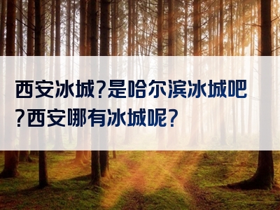 西安冰城？是哈尔滨冰城吧？西安哪有冰城呢？