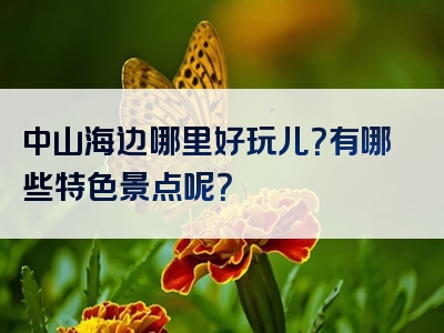 中山海边哪里好玩儿？有哪些特色景点呢？