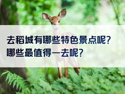 去稻城有哪些特色景点呢？哪些最值得一去呢？