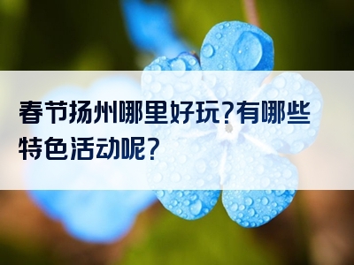 春节扬州哪里好玩？有哪些特色活动呢？