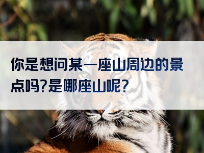 你是想问某一座山周边的景点吗？是哪座山呢？