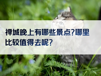 禅城晚上有哪些景点？哪里比较值得去呢？