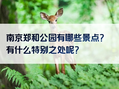 南京郑和公园有哪些景点？有什么特别之处呢？