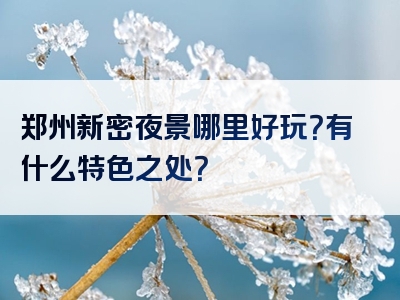 郑州新密夜景哪里好玩？有什么特色之处？