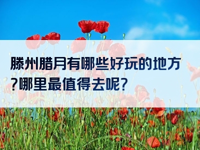 滕州腊月有哪些好玩的地方？哪里最值得去呢？