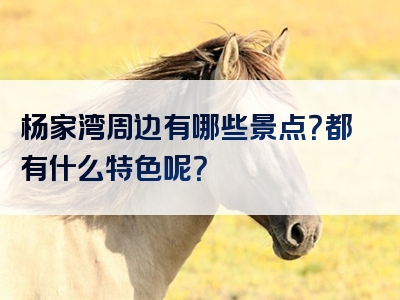 杨家湾周边有哪些景点？都有什么特色呢？