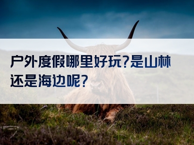 户外度假哪里好玩？是山林还是海边呢？