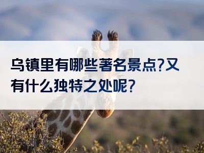 乌镇里有哪些著名景点？又有什么独特之处呢？