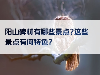 阳山碑材有哪些景点？这些景点有何特色？