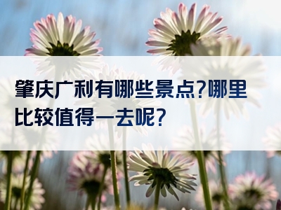 肇庆广利有哪些景点？哪里比较值得一去呢？