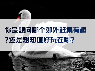 你是想问哪个郊外赶集有趣？还是想知道好玩在哪？