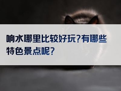 响水哪里比较好玩？有哪些特色景点呢？