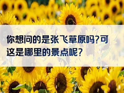 你想问的是张飞草原吗？可这是哪里的景点呢？