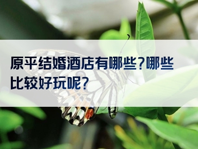 原平结婚酒店有哪些？哪些比较好玩呢？