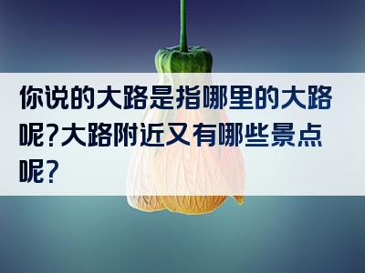 你说的大路是指哪里的大路呢？大路附近又有哪些景点呢？