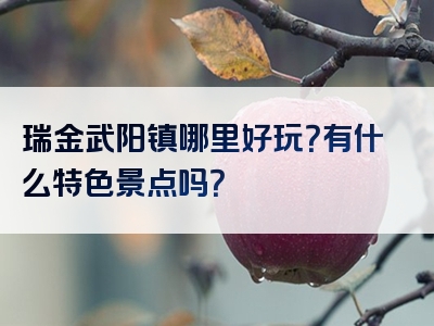 瑞金武阳镇哪里好玩？有什么特色景点吗？