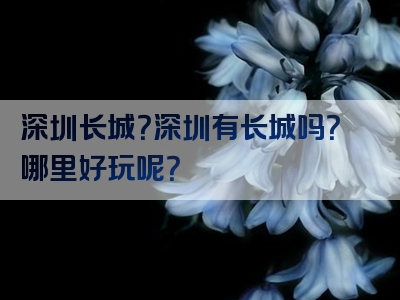 深圳长城？深圳有长城吗？哪里好玩呢？