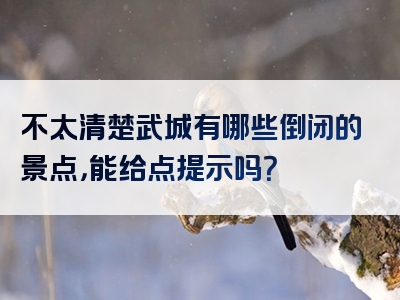 不太清楚武城有哪些倒闭的景点，能给点提示吗？