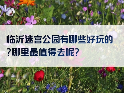 临沂迷宫公园有哪些好玩的？哪里最值得去呢？