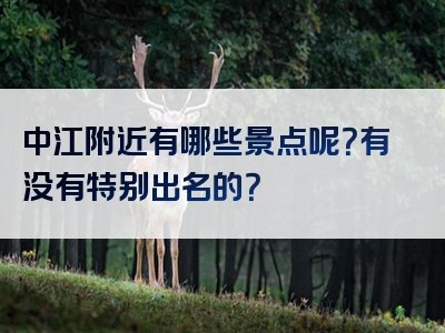 中江附近有哪些景点呢？有没有特别出名的？