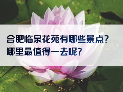 合肥临泉花苑有哪些景点？哪里最值得一去呢？