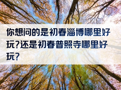 你想问的是初春淄博哪里好玩？还是初春普照寺哪里好玩？