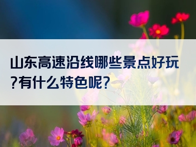 山东高速沿线哪些景点好玩？有什么特色呢？