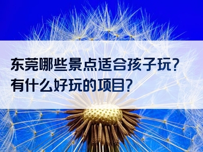 东莞哪些景点适合孩子玩？有什么好玩的项目？