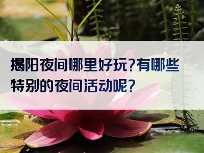 揭阳夜间哪里好玩？有哪些特别的夜间活动呢？
