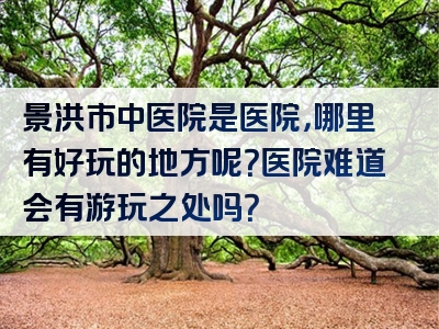 景洪市中医院是医院，哪里有好玩的地方呢？医院难道会有游玩之处吗？