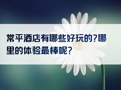 常平酒店有哪些好玩的？哪里的体验最棒呢？