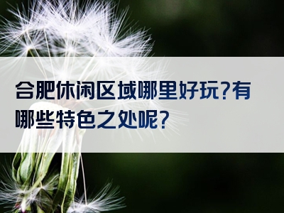 合肥休闲区域哪里好玩？有哪些特色之处呢？