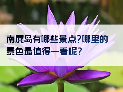 南麂岛有哪些景点？哪里的景色最值得一看呢？