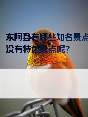 东阿县有哪些知名景点？有没有特色景点呢？