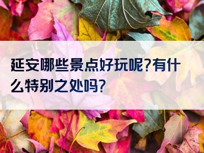 延安哪些景点好玩呢？有什么特别之处吗？