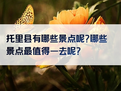 托里县有哪些景点呢？哪些景点最值得一去呢？