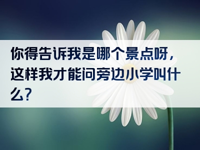 你得告诉我是哪个景点呀，这样我才能问旁边小学叫什么？