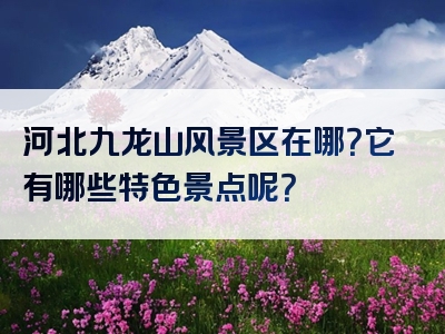 河北九龙山风景区在哪？它有哪些特色景点呢？