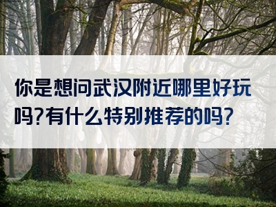 你是想问武汉附近哪里好玩吗？有什么特别推荐的吗？