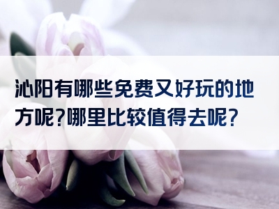 沁阳有哪些免费又好玩的地方呢？哪里比较值得去呢？