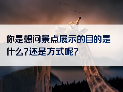 你是想问景点展示的目的是什么？还是方式呢？