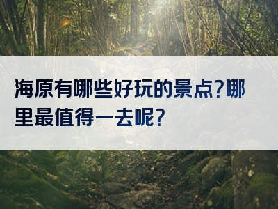 海原有哪些好玩的景点？哪里最值得一去呢？