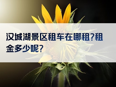 汉城湖景区租车在哪租？租金多少呢？