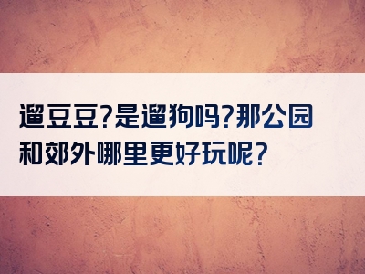 遛豆豆？是遛狗吗？那公园和郊外哪里更好玩呢？